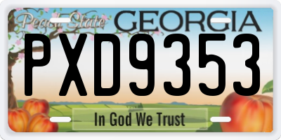 GA license plate PXD9353