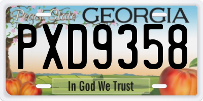 GA license plate PXD9358