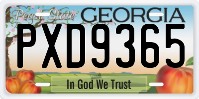 GA license plate PXD9365