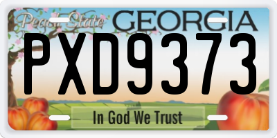 GA license plate PXD9373