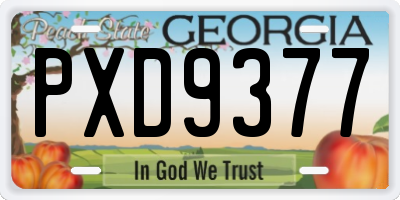 GA license plate PXD9377
