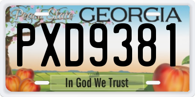 GA license plate PXD9381