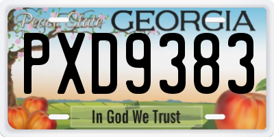GA license plate PXD9383