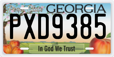 GA license plate PXD9385