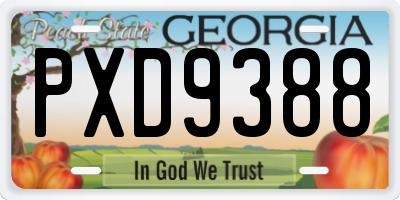 GA license plate PXD9388