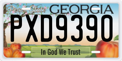 GA license plate PXD9390