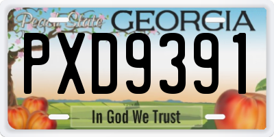 GA license plate PXD9391