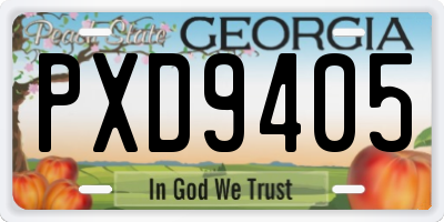 GA license plate PXD9405