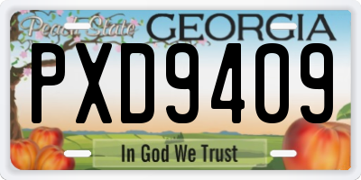 GA license plate PXD9409