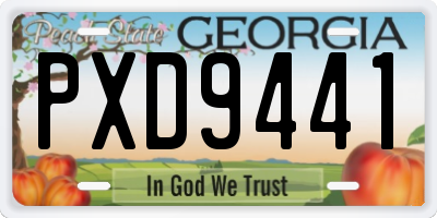 GA license plate PXD9441