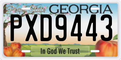 GA license plate PXD9443