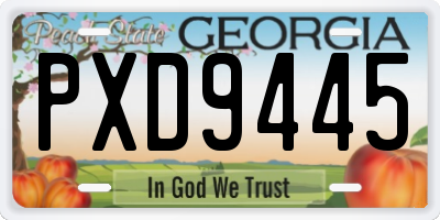 GA license plate PXD9445