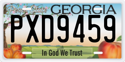 GA license plate PXD9459