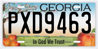 GA license plate PXD9463