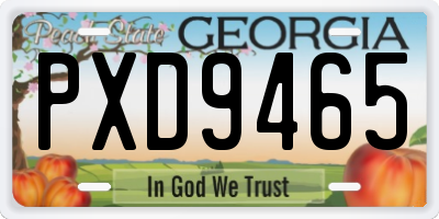 GA license plate PXD9465