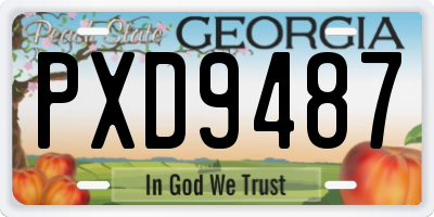 GA license plate PXD9487