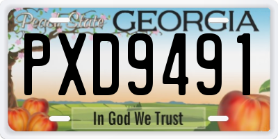 GA license plate PXD9491