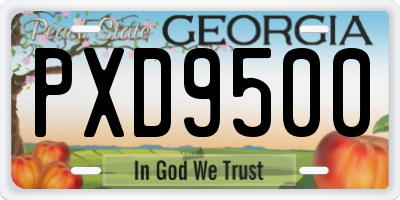 GA license plate PXD9500