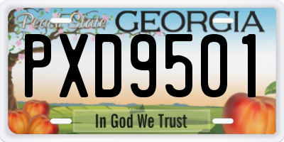 GA license plate PXD9501