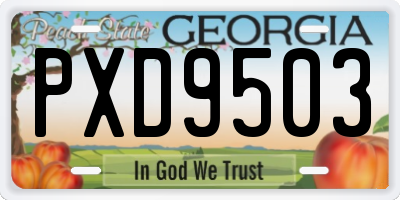 GA license plate PXD9503