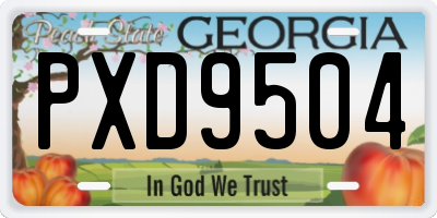 GA license plate PXD9504