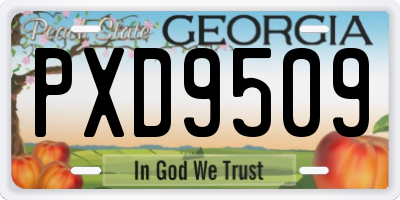 GA license plate PXD9509