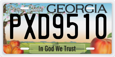 GA license plate PXD9510