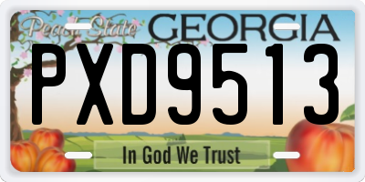 GA license plate PXD9513