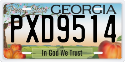 GA license plate PXD9514
