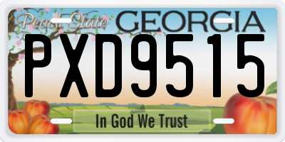 GA license plate PXD9515
