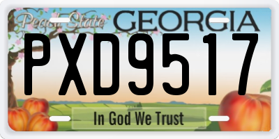 GA license plate PXD9517
