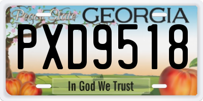 GA license plate PXD9518