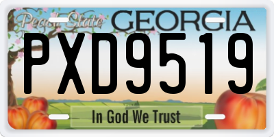GA license plate PXD9519