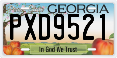 GA license plate PXD9521