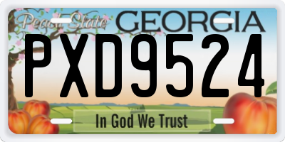 GA license plate PXD9524