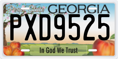 GA license plate PXD9525