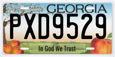 GA license plate PXD9529