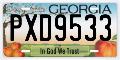 GA license plate PXD9533