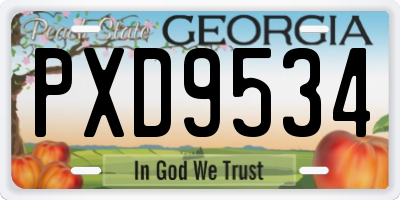 GA license plate PXD9534