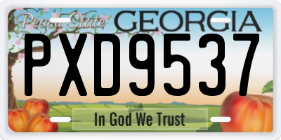 GA license plate PXD9537