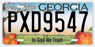 GA license plate PXD9547
