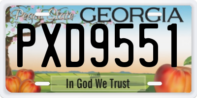 GA license plate PXD9551