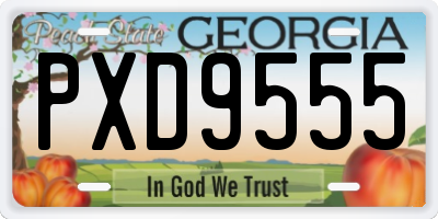 GA license plate PXD9555