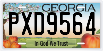 GA license plate PXD9564