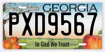 GA license plate PXD9567