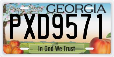 GA license plate PXD9571