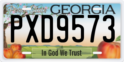 GA license plate PXD9573