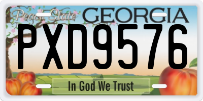 GA license plate PXD9576