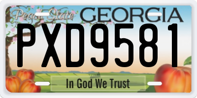 GA license plate PXD9581