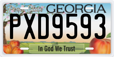 GA license plate PXD9593